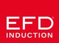 CFEI EFD