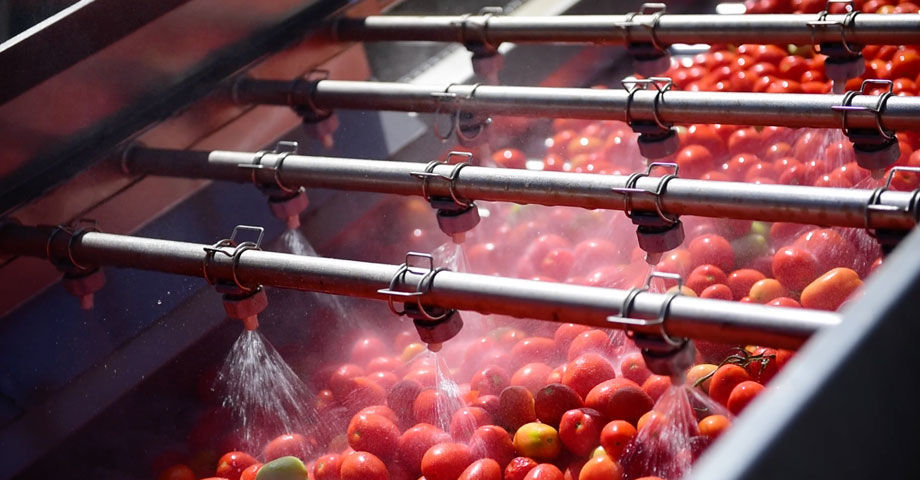 Ligne De Transformation De L Gumes Pour Tomates Fbr Elpo