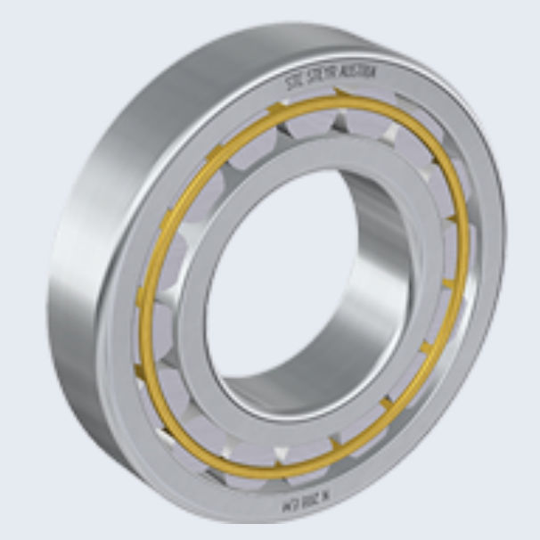 Roulement à rouleaux cylindriques N series STC Steyr Wälzlager