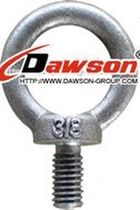 boulon &agrave; oeil  Dawson Group