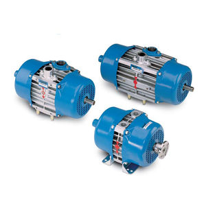 compresseur d'air / stationnaire / à moteur électrique / à palettes