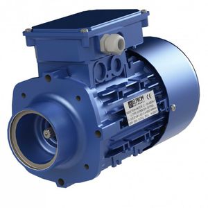 moteur triphasé / asynchrone / 220V / 400V
