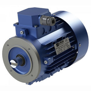 moteur pour pompe à huile / triphasé / monophasé / 220V