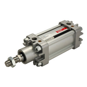 vérin pneumatique / double effet