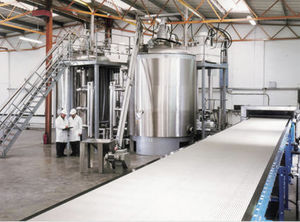 bande transporteuse flexible / pour l'industrie chimique / pour l'industrie agroalimentaire / industrielle