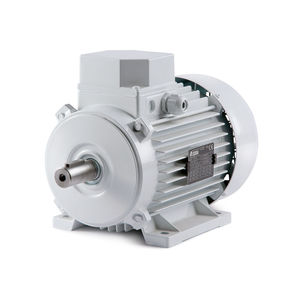 moteur triphasé / à induction / 230V / 400V