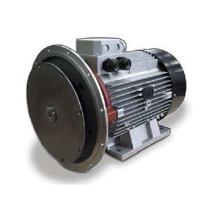 alternateur asynchrone / brushless / pour groupe électrogène / de tension AC