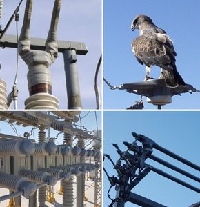 isolateur électrique / en résine époxy / en céramique / en composite