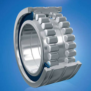 roulement à rouleaux cylindriques / à deux rangées / en acier inoxydable / en acier chromé
