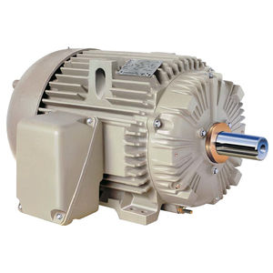 moteur triphasé / à induction / 460V / pour application sévère