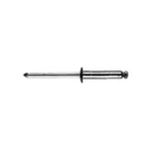 rivet aveugle / à tête cylindrique / en acier inoxydable