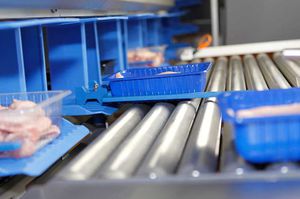 convoyeur à rouleaux / pour l'industrie agroalimentaire / pour barquettes / horizontal