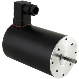 moteur 4 pôles / triphasé / asynchrone / 400V