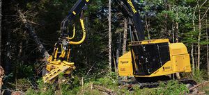 abatteuse forestière sur chenilles
