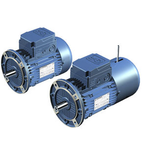 moteur AC / triphasé / asynchrone / 12V