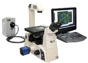 microscope à fluorescence / pour analyse / assisté par ordinateur / FLIM
