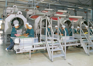 cutter continu / pour l'industrie agroalimentaire