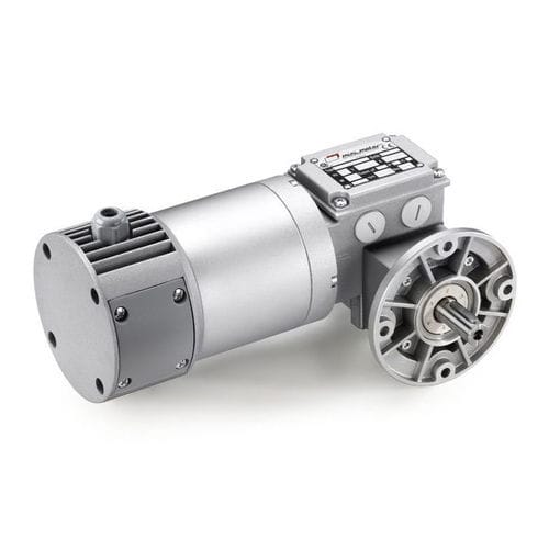 Motoréducteur à vis sans fin PCCE series Mini Motor SPA DC à