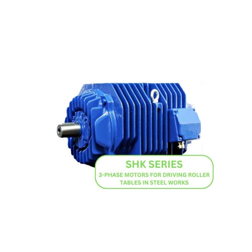 Moteur 3 Phases SHK Series Cantoni Motor Asynchrone 550 V IP44