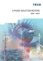 3 Phase Induction Motors-AEEF AEVF