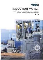 EPACT Three Phase Induction Motors