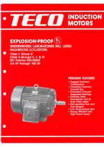 	TECO Explosion-Proof Induction Motor-IEC Frame
