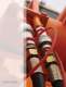 Gear Pumps 