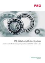 FAG E1 Spherical Roller Bearings