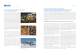 Journal � Développements actuels du Groupe KAHL 