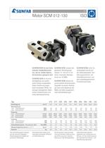 Hydraulikmotor mit Axialkolben 