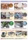 Broyeurs BLIK - mat�riels, applications