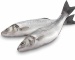 Poissons
