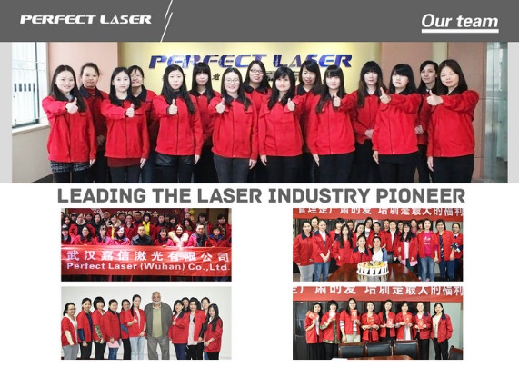 Perfect Laser Co., Ltd. (China) Photo 2