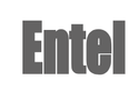 Entel - logo
