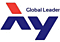 AY Heavy Industrial Co., Ltd.
