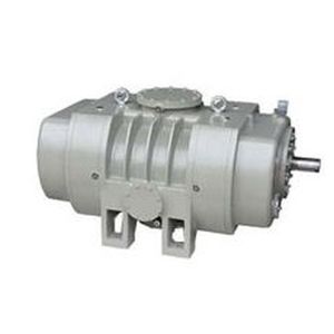 Pompe A Vide Roots Zjq Series Shanghai Evp Vacuum Technology Co Ltd Lubrifiee Mono Etagee Refroidie Par Air