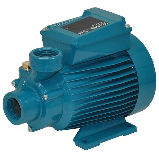 Pompe électrique Auto-amorçante Calpeda Cam80e - 0,60 HP Monophasé, Pour Eau, Débit Jusqu'à 6,3 M³/h