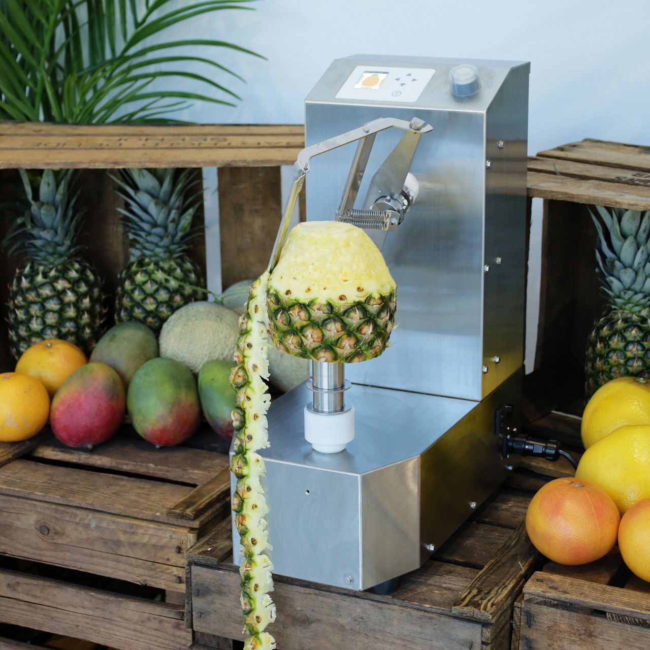 Éplucheuse à Ananas Manuelle - Commerciale, Inox, 90% Neuf, Avec Support Technique