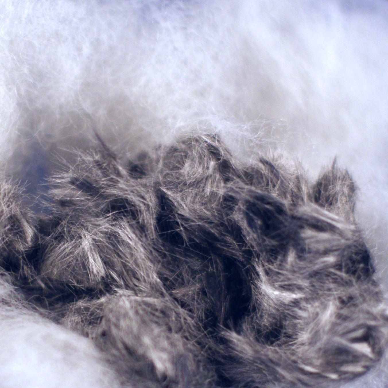 Fibre en acier inoxydable - Imattec - roving