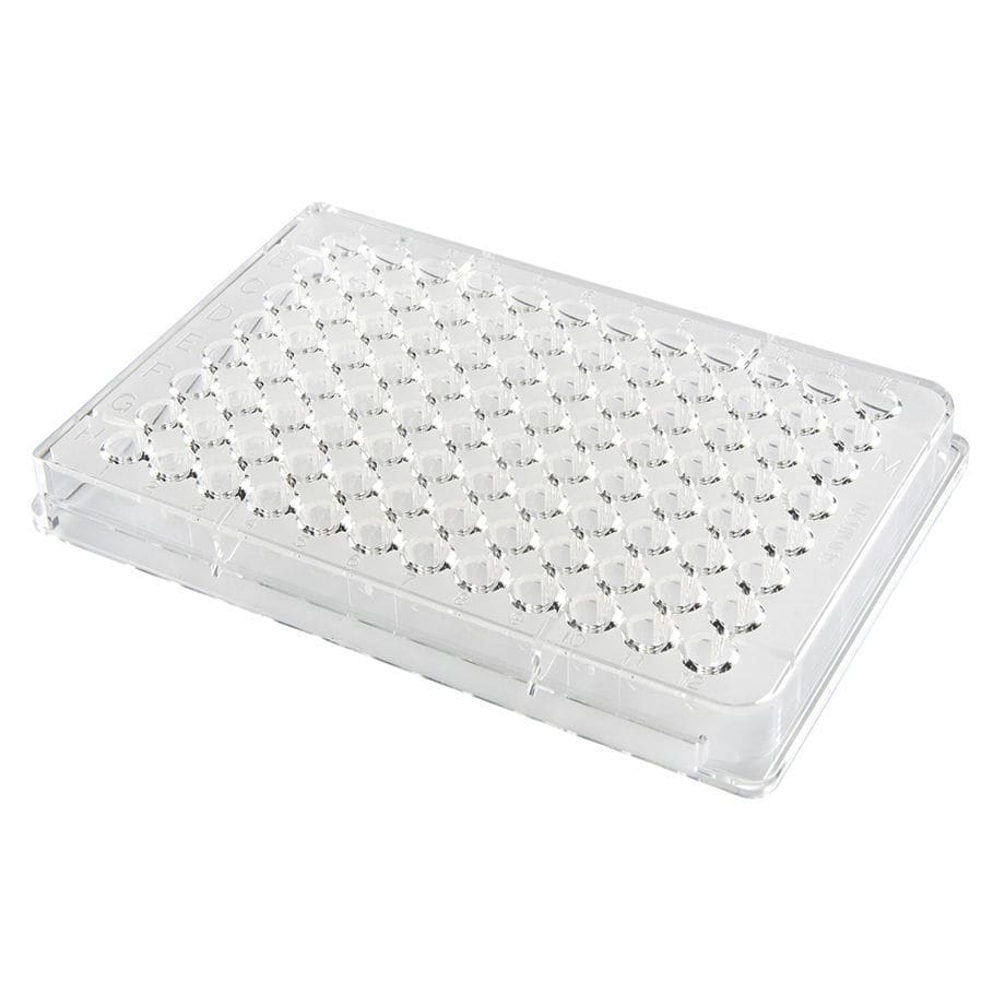 Plaque de cellulaire 24 puits
