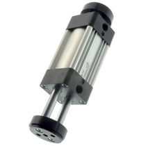 Vérin pneumatique / à double tige / à piston...