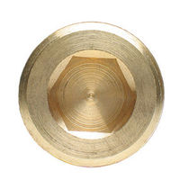 QUARKZMAN 5Pcs Bouchon à Tête Hexagonale En Laiton Bouchon