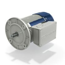 Moteur triphasé / asynchrone / IP55 / IP54