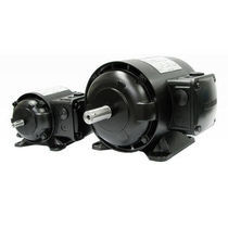 Moteur AC / triphasé / asynchrone / 220V