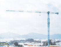 Grue fixe / à tour topless / pour chantier...