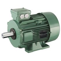 Moteur triphasé / à induction / 400V / 380...