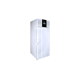 congélateur armoire