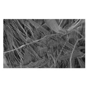 matériau filtrant en PTFE 1