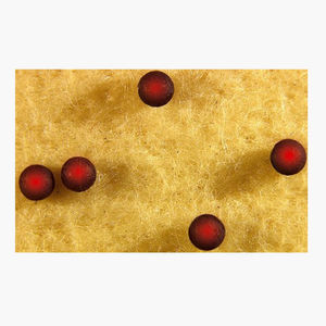 fibre en polyester 1