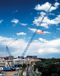 grue sur chenilles